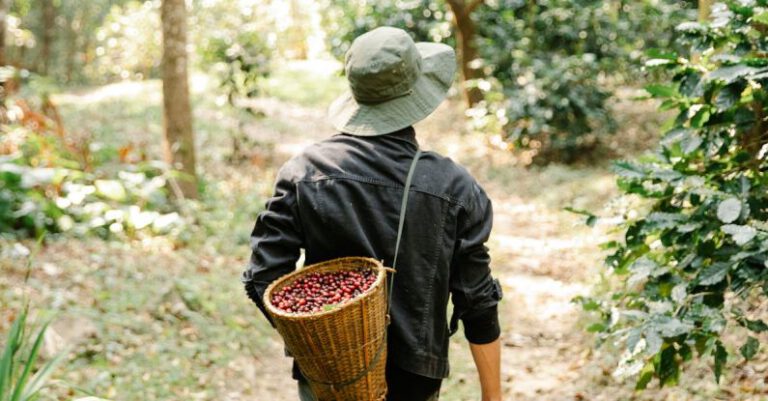 Why Is Single Origin Coffee Like a Unique Motorcycle Route?