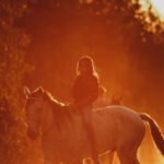 Farm Ride - Unrecognizable person riding horse on rural road near lush trees during sunset in countryside