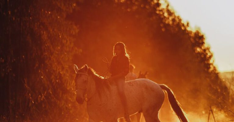 Farm Ride - Unrecognizable person riding horse on rural road near lush trees during sunset in countryside