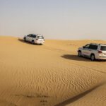 Rally Discovery - Vehicles Traveling in a Desert